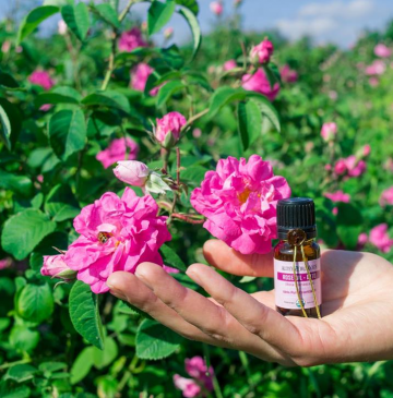 Alteya organics rose oil 1