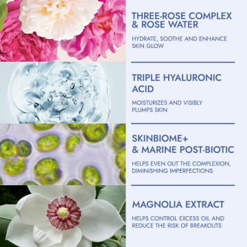 Rhb consumer study toner 21